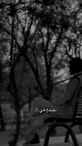 #بدر_الشمري #طلال_العارف #تصويري_احترافي_الاجواء👌🏻🕊😴 #تصميم_فيديوهات🎶🎤🎬تصميمي🔥 #ياوجع_قلبيl💔 