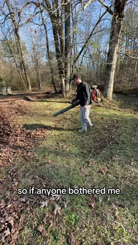 This Customers HOA Called Me After This Job #leafremoval #leafremovalbusiness #leafremovaltips #howtostartaleafremovalbusiness #howtoremoveleaves 