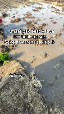 #fypage #magetan24jam #teammadangmaidobayaran #petanimudaindonesia🇮🇩 #teamngiwomadang 