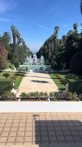 أجمل  حديقة في إفريقيا🇩🇿 #العاصمة #الجزائر #mca #usma #جزائر_العاصمة🇩🇿 