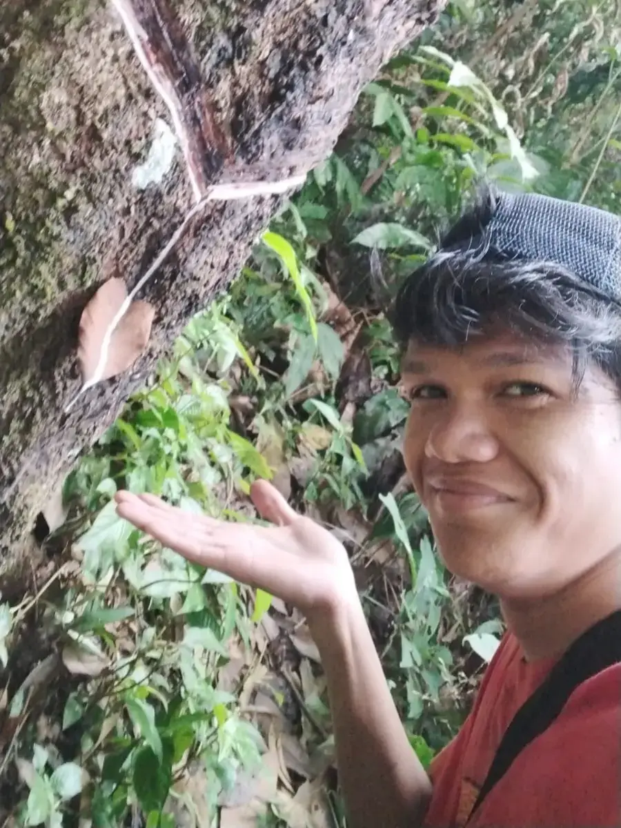 Mau balik kehutan lagi atau gimana guys?#fyp #foryoupage #foryou #primitive #primitive_technology 