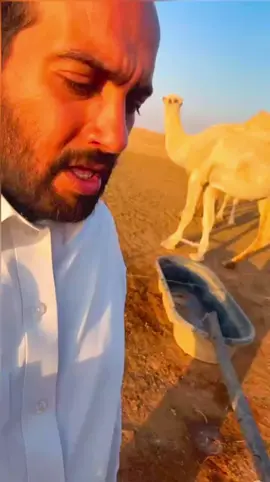 ابيات العملاق / خالد مبارك 🌹 #explore #اكسبلورexplore #الشعب_الصيني_ماله_حل😂😂 #اكسبلور #fyp 