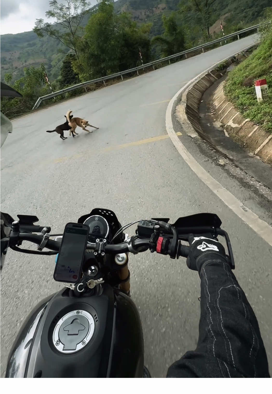 Gia vị không thể thiếu😂 #xsr155 #travel #video #yamaha 