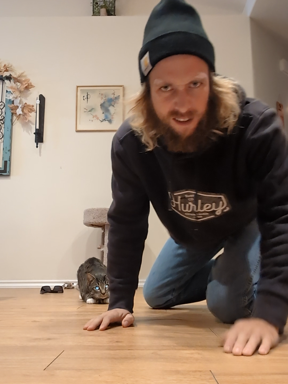 Play time is the best time.  Happy cat, Happy life.  #cats #cat #catsoftiktok #fyp #foryoupage 