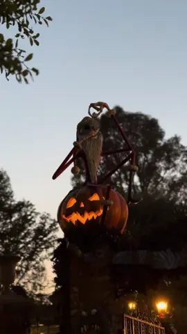 happy Halloween 🖤