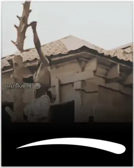 #funnyvideo #funny #fyp 