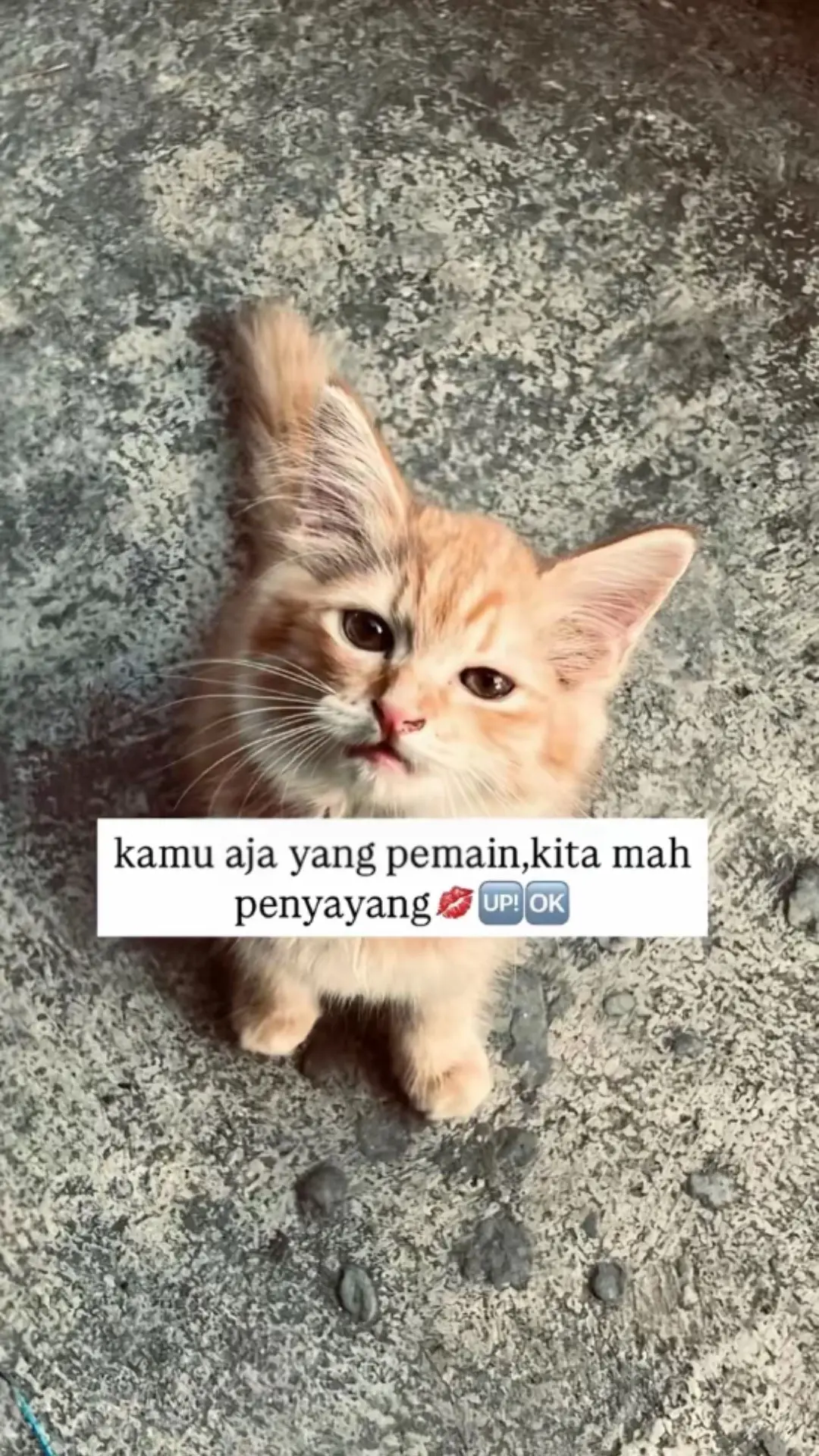 #fyp #casualoutfits #casualstyle #adidasoriginals 