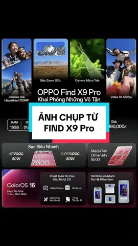 Cùng nhau khám phá vẻ đẹp của Việt Nam chúng ta qua ống kính điện thoại OPPO Find X9 Pro 😍  #VNOPPOFINDX9 #ZoomIntoVietnam #Concertphone #OPPO #vietnam 