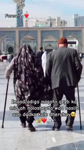 ❤️🫂#verial_video #foryoupage #fyppppppppppppppppppppppp #somalitiktok🇸🇴🇸🇴🇸🇴🇸🇴💙 