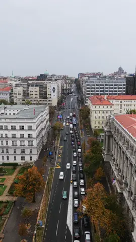 14588540_720_1280_24fps