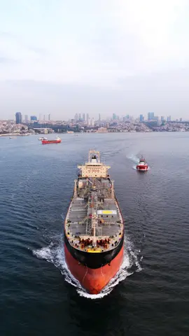 14589025_720_1280_24fps