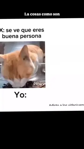 falto migajero 🗣️  #tiktok 