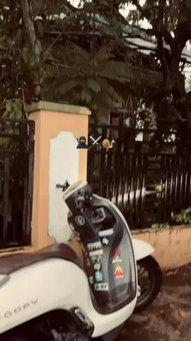 #fypシ゚ #scopygiwargiwar #giwargiwar #haligaingeun #xyzbca 