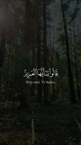 ﴿ قالوا يا أيها العزيز إن له أبا شيخا كبيرا فخذ أحدنا مكانه إنا نراك من المحسنين ﴾ [ يوسف: 78] They said, “O ‘Azeez, indeed he has a father [who is] an old man, so take one of us in place of him. Indeed, we see you as a doer of good.” ﴿ قال معاذ الله أن نأخذ إلا من وجدنا متاعنا عنده إنا إذا لظالمون ﴾ [ يوسف: 79] He said, “[I seek] the refuge of Allah [to prevent] that we take except him with whom we found our possession. Indeed, we would then be unjust.” سورة يوسف الآية ٧٨-٧٩ Surah Yusuf verse 78-79 القارئ محمد صديق المنشاوي Mohamed Al Minshawi جزء ١٣ / حزب ٢٥ #يوسف #سورة_يوسف #المنشاوي #تلاوة #القران_الكريم quran 