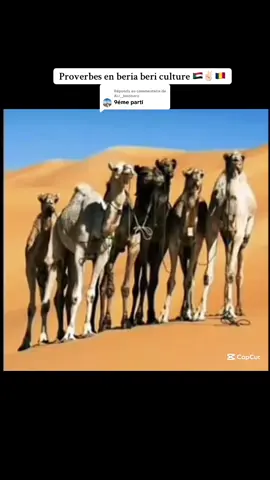 Réponse à @ALI__toroboro 