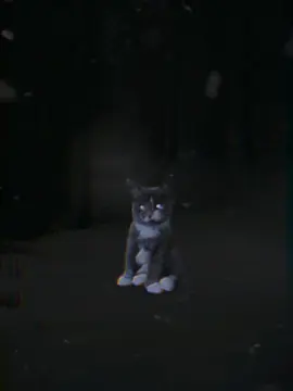Mom #mosskit #bluestar #mosskitwarriors #bluestarwarriors #warriors #warriorcats #wojownicy #lgdc #horror #scary #fyp #trend #foryou #foryoupagе #foryourpage #xybca #song #halloween 