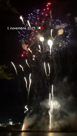 #foryou #algeria #1نوفمبر1954_وتحياا_الجزائر #🇩🇿 #عاشت_الجزائر_حره_مستقلة🇩🇿❤ 