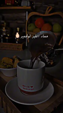 #مساء الخير نوفمبر🫰🏻❤️#تصويري #فيديوهاتي_تصاميمي🎶🎬 #اعملولي_اعادة_نشر😒 #اكسبلور_تيك_توك🌹🎶🎵 