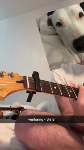 my anonymous account, idk #guitar #venturing #janeremover #sister #alternative 