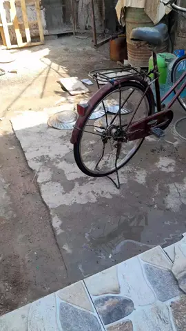 #باسكل#شيشين# #زينب_بنت_الديوانيه 