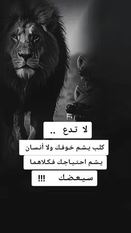 #fypシ゚  -#fouryoupage 