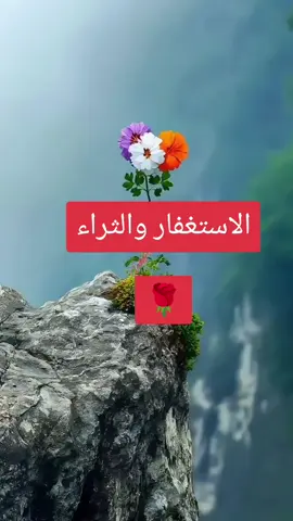 #المؤمنه_بالله🇱🇾 #استغفرالله 