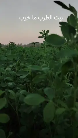 #مجرد________ذووووووق🎶🎵💞،☹ #تصميم_فيديوهات🎶🎤🎬تصميمي🔥_استوريات #العراق🇮🇶🇮🇶🇮🇶🇮🇶🇮🇶🇮🇶 