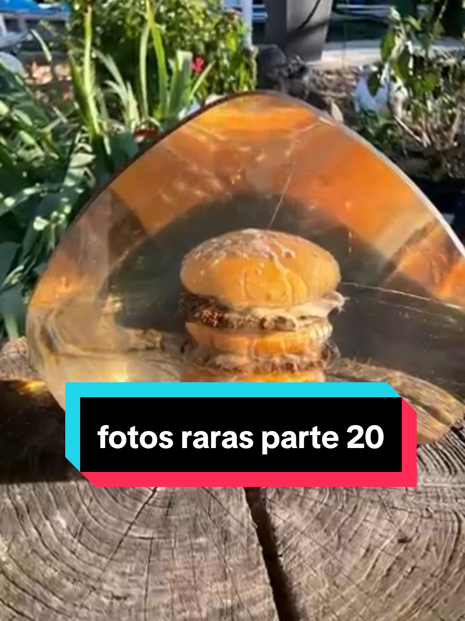 #creatorsearchinsights fotos raras parte 20 #paratiiiiiiiiiiiiiiiiiiiiiiiiiiiiiii #tiktokviral #parati #fypシ゚ 