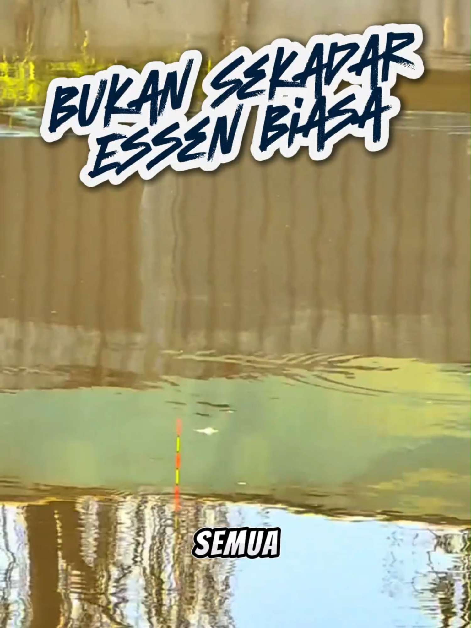 Bukan essen biasa — ini rahasia ikan nila kalap makan! 🎣#EssenNila #StrikeTerus #UltimateStrike #EssenJuara #StrikeMantap #galatama #mancingliar