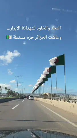 أول نوفمبر لم يكن مجرد تاريخ، بل روح أمةٍ قررت أن تكون، وصرخة حرية دوّت في العالم لتقول: هنا الجزائر… أرض الرجال، وموطن الكرامة، ومهد الثورة التي غيّرت مجرى التاريخ.