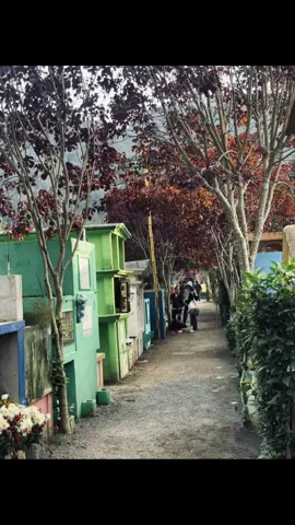 La Pura  Realidad💔.    #frases #reflexion #diademuertos #viraltiktok #fyyyyyyyyyyyyyyyy  