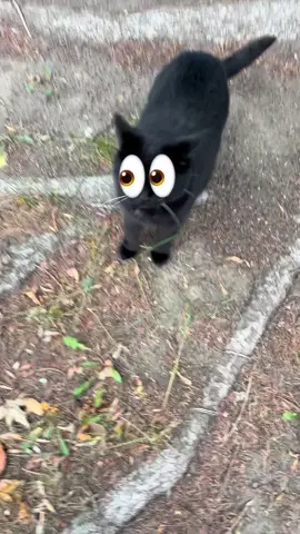 Son 👀👀👀👀👀👀 let’s take a look. 👀👀