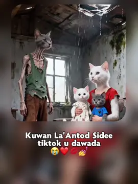 sidan udawanye ina bisad noqdo ka baqaa💋❤️💅#somaliticktok🇸🇴 #foryoupage #viewsproblem #fakesituation⚠️ 