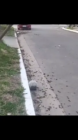 Os melhores jogadores do mundo 🌍😱😂  - - - - . #viral #futebol #meme #skills #fyp 