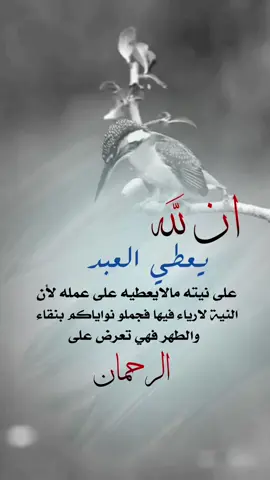 #fyp #اكسبلورexplore #اقتباسات_عبارات_خواطر #اعادة_النشر🔃 