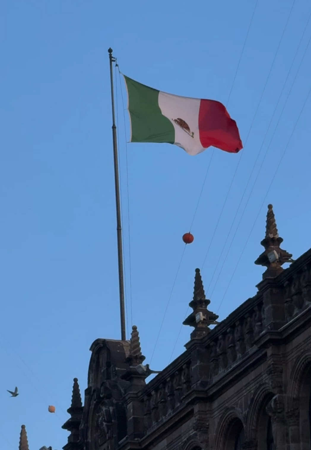 Día de Muertos in CDMX 🇲🇽 #cdmx #megaofrenda #diademuertos #zocalocdmx #catrina