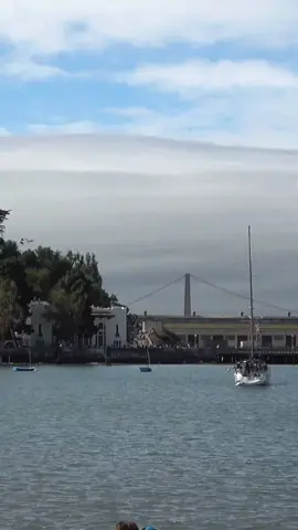 #vidioviral #fyppppppppppppppppppppppp #manuverjettempur #jettempur #lewatberanda 