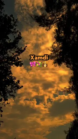 Xamdi💐#somalitiktok #viewsproblem #🌼🎀 #xamdi #ismalisalah