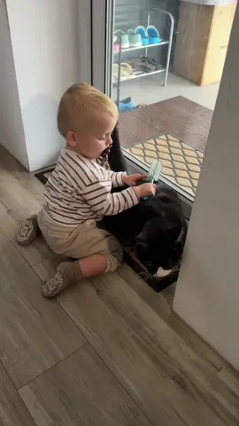 Тео и Кузя😂🙀😹подружились 😘