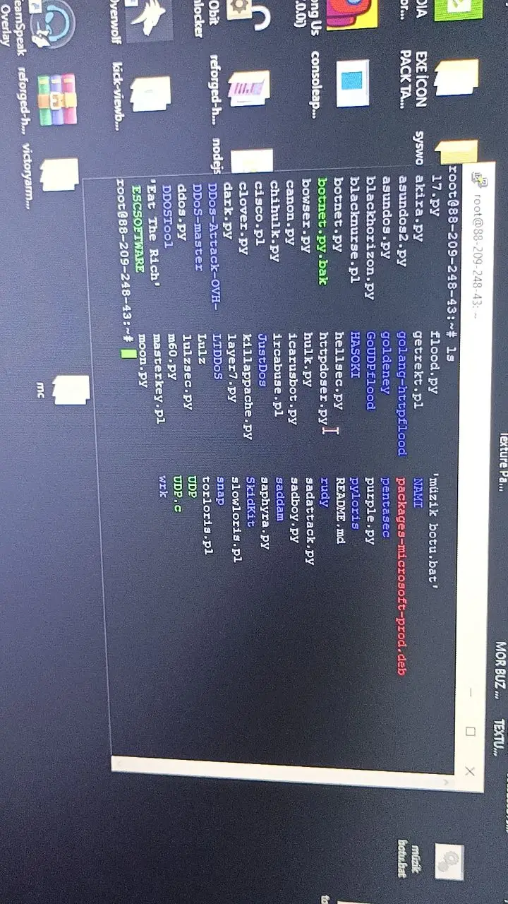 bedava sorgu paneli isteyen elemana rat kilitleyince Bizdir mesela 