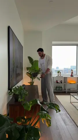 Indoor plants bring life into your space with fresh air, balanced energy, and quiet proof that consistency pays off. @Miracle-Gro helps keep that energy growing. 🌿 Level up your plant care with the link in my bio. #WeekendReset #MiracleGroPartner