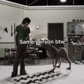 Same person btw // #springtrapfnaf #halloween #fnafedit #shaggy 