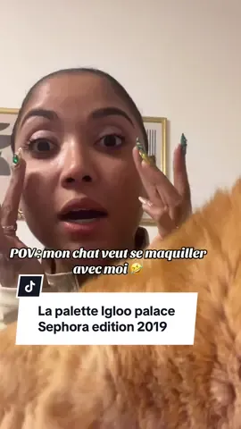 J’ai retrouvé l’édition, elle date de 2019, ça nous rajeunit pas tout ça🤭 @SEPHORA mais vraiment on salue l’efficacité de la palette!