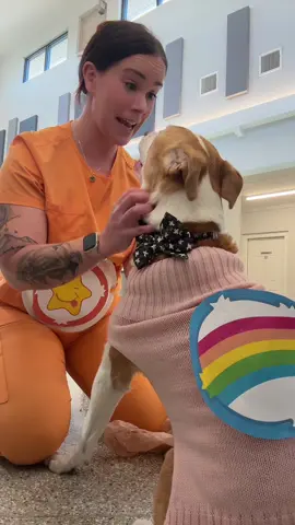 Happy Halloween!!! #veterinarian #halloween #carebears #dogmom 