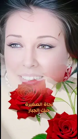 يا ما قلبى صارحنى.. يا ما قاللىواحشنى. كل ما انسى وأهاوده جرحه يصحى لوحده. يفتكرك بعذابك وبسهره على بابك وانت بتقسى عليا. ويفكرنى بحالى وف أيام وليالى-نجاه الصغيره#CapCut #ترند50مليون60مليون #مشاهير_تيك #انتشار_سريع_اكسبلووور⚡️ #لايك_متابعه_اكسبلور 