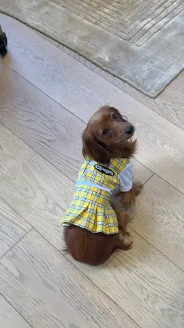 UGH AS IFFFFF 💅  happy halloweenie babies!!! 🧡👻🎃