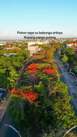 Apa kabar anak rantau,sonde ada niat pulang kampung ko?#natalsudahdekat#novemberbersemi 