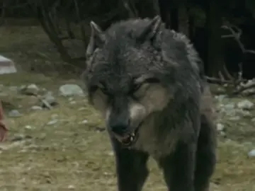 just like the wind  #crepúsculo #twilightedit #twillight #edwardcullen #fyyyyyyyyyyyyyyyy 