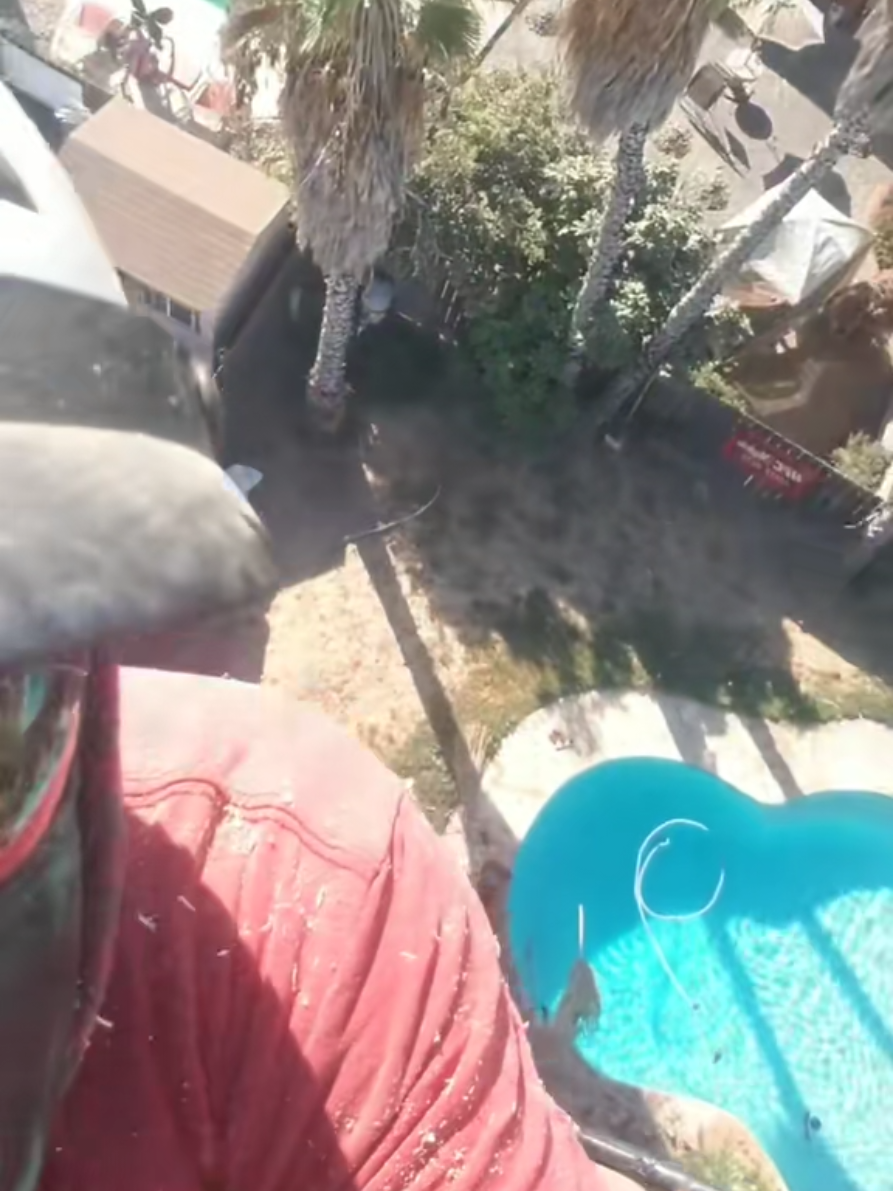 🫡    #el_rorro559 #california #tularecounty #rorro_559 