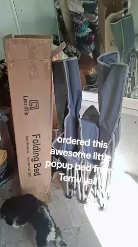 #itsthelilthingsinlife #temufindsgirl #besuretogetenoughzzzs #tiktoktrends2025